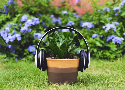 plants and music